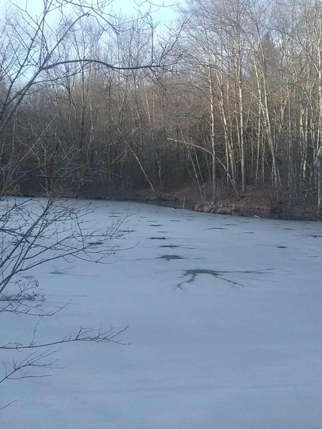 The Nature Conservancy Lake Mineola Marsh Preserve | Silver Valley Rd, Brodheadsville, PA 18322 | Phone: (570) 643-7922