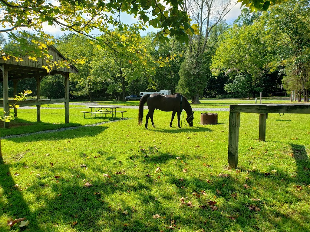 Marino Equestrian Campground | 2871-2899 Hill Rd, Green Lane, PA 18054 | Phone: (215) 234-4528