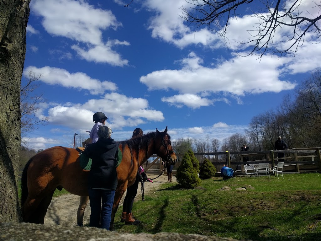 Endeavor Therapeutic Horsemanship, Inc. | 556 Croton Lake Rd, Mt Kisco, NY 10549 | Phone: (914) 241-0211