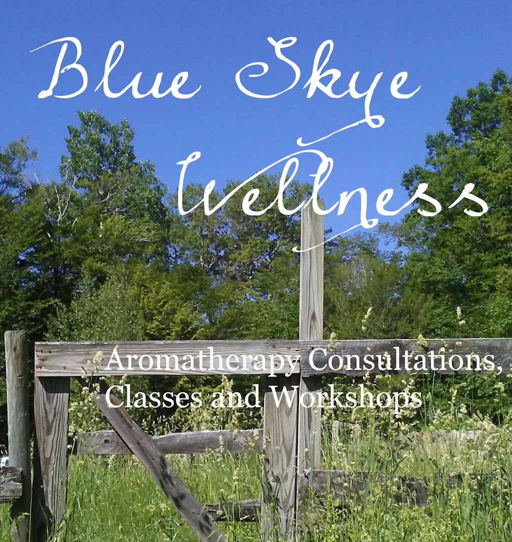 Blue Skye Wellness | Blue Skye Wellness, 26 Main St, Chester, MA 01011 | Phone: (413) 242-4069