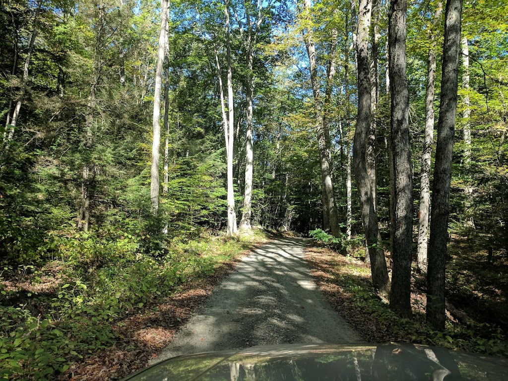 Algonquin State Forest | Winsted, CT 06098 | Phone: (860) 424-3200