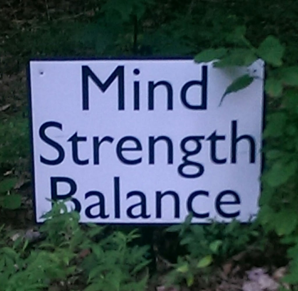 Mind Strength Balance | 150 Du Bois Rd, Shokan, NY 12481 | Phone: (250) 885-8677