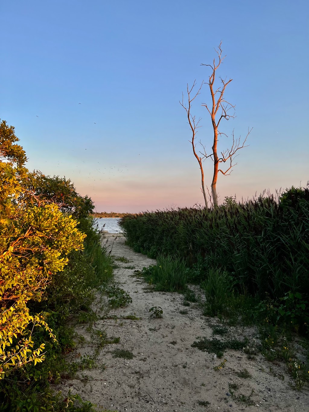 Jamaica Bay Wildlife Refuge | 175-10 Cross Bay Blvd, Queens, NY 11693 | Phone: (718) 318-4340