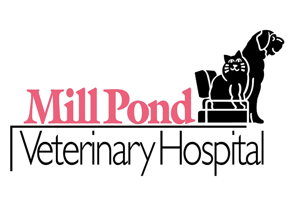 Mill Pond Veterinary Hospital: Brian Lang DVM | 229 E Main St, Branford, CT 06405 | Phone: (203) 488-5990