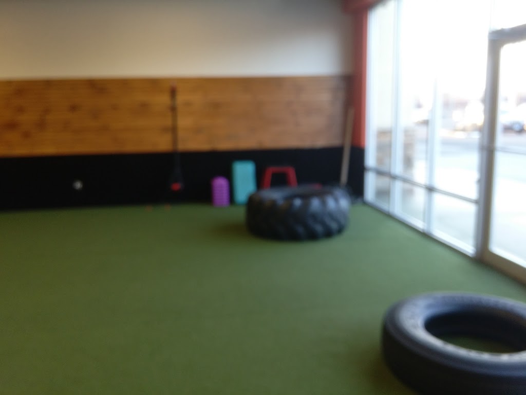 Club 24 Concept Gyms | 920 S Colony St, Wallingford, CT 06492 | Phone: (203) 303-7281