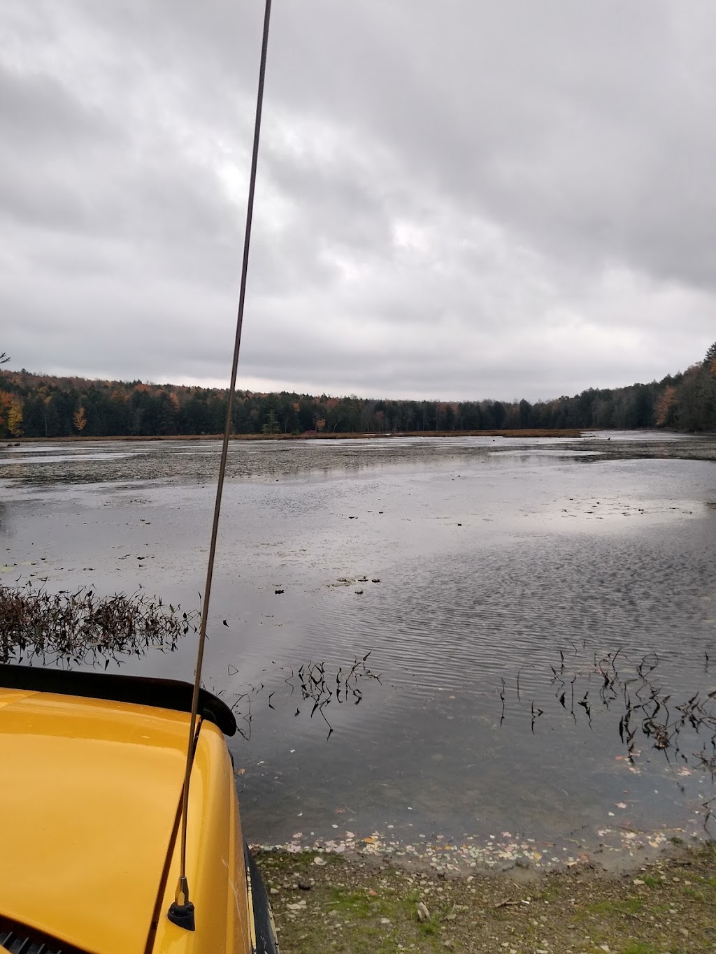 Marsh Pond State Forest | Nineveh, NY 13813 | Phone: (607) 674-4017