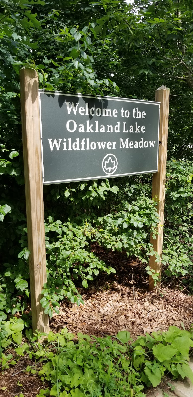 Oakland Lake Wildflower Meadow | 46th Ave &, Cloverdale Blvd, Bayside, NY 11364 | Phone: (212) 639-9675