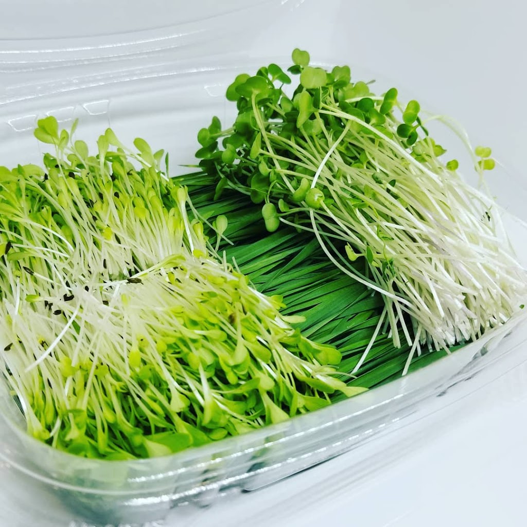 Hudson Valley Microgreens | 305 Titusville Rd Suite A, Poughkeepsie, NY 12603 | Phone: (845) 591-4795