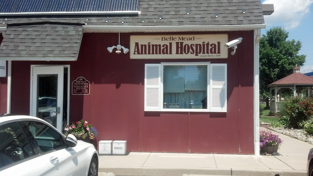 Belle Mead Animal Hospital | 872 US-206, Hillsborough Township, NJ 08844 | Phone: (908) 874-4447