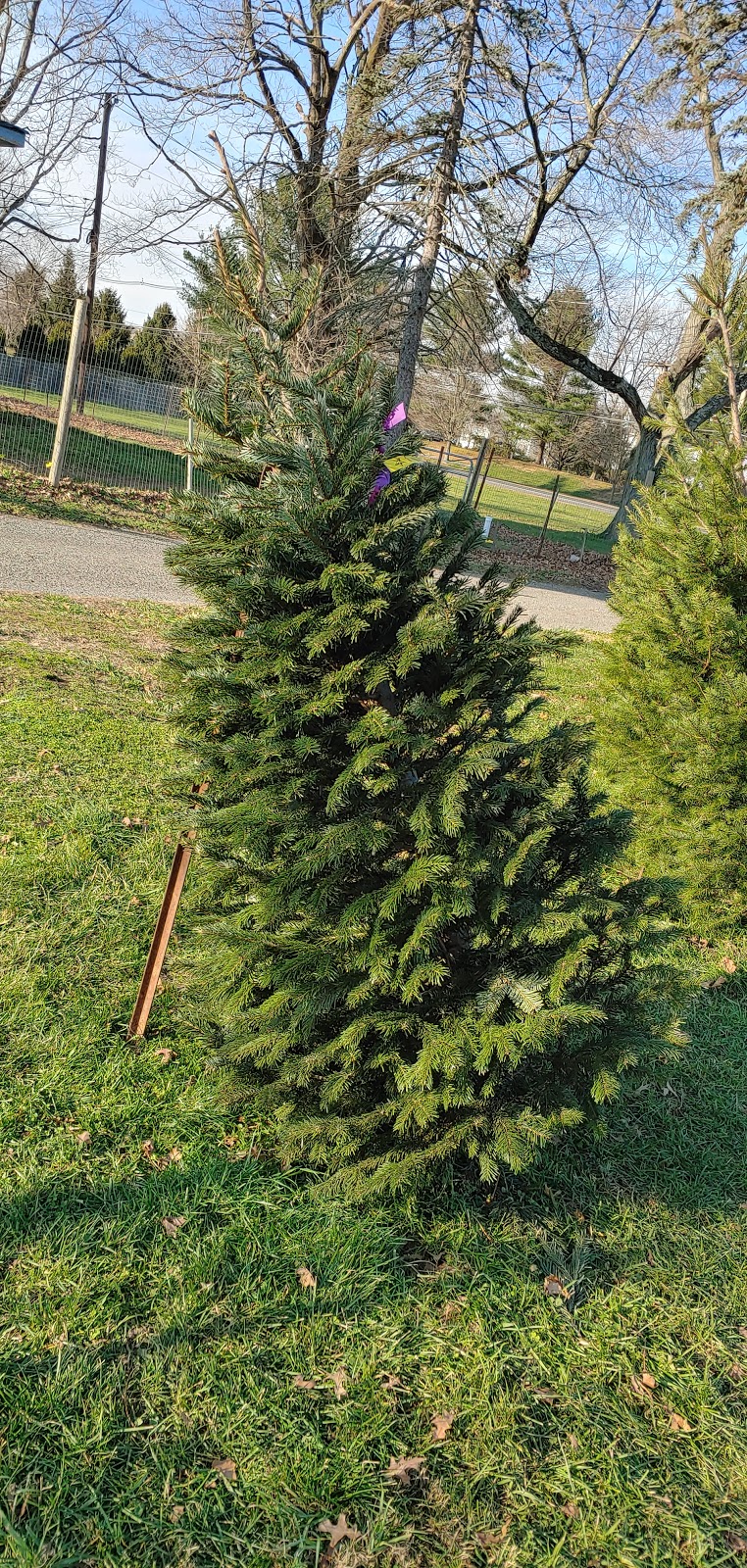 Simonson Farms, Farm Stand & Pre-Cut Christmas Tree Lot | 118 Dey Rd, East Windsor, NJ 08512 | Phone: (609) 799-0140