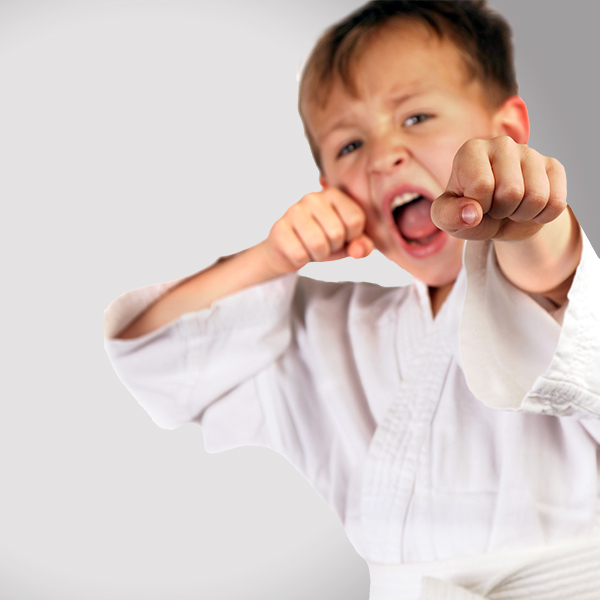 Premier Martial Arts Scarsdale | 1469-1471 Weaver St, Scarsdale, NY 10583 | Phone: (914) 826-4876