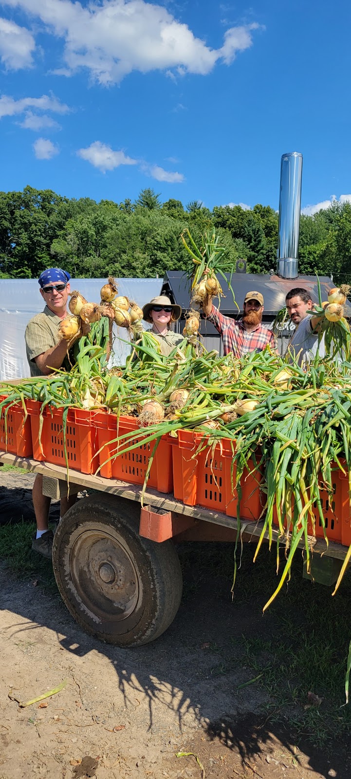 Daves Natural Garden | 35 Amherst St, Granby, MA 01033 | Phone: (413) 320-6802