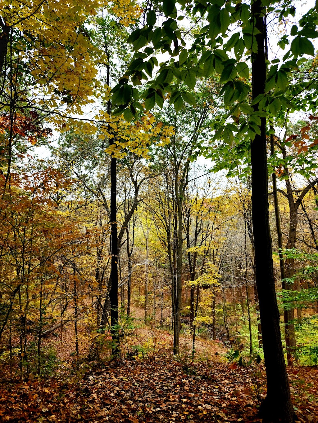 Watchung Reservation | Historic Trail, Mountainside, NJ 07092 | Phone: (908) 789-3670