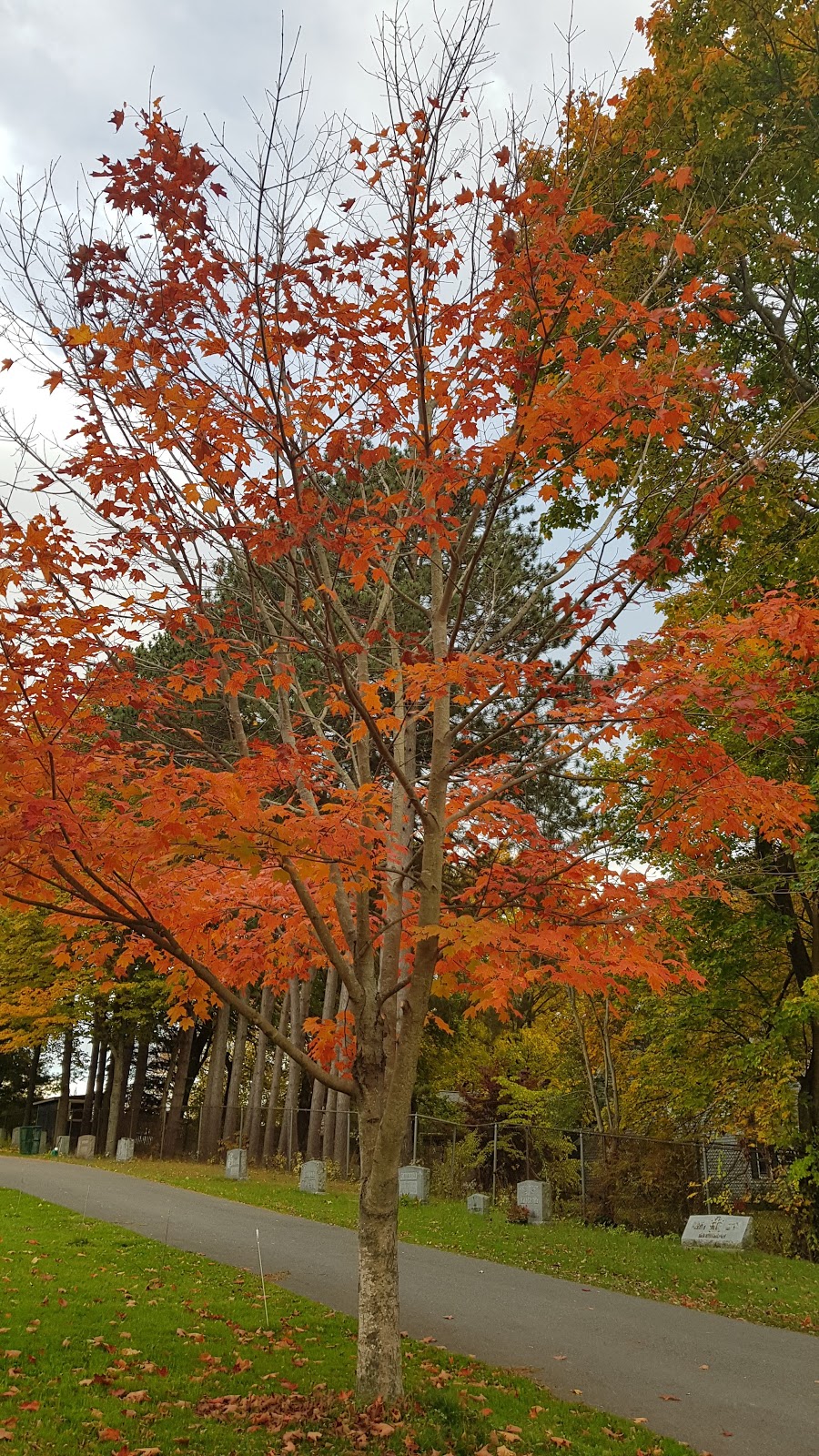 Saint Anns Cemetery | 1 Ore Bed Rd, Lenox, MA 01240 | Phone: (413) 637-0157