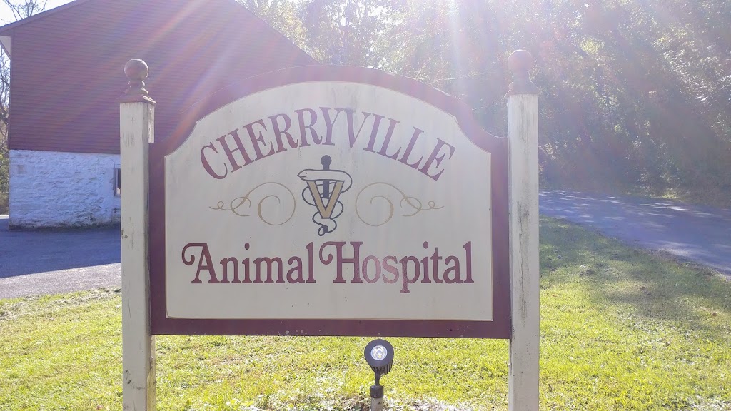 Cherryville Animal Hospital | 496 Willow Rd, Walnutport, PA 18088 | Phone: (610) 767-7505