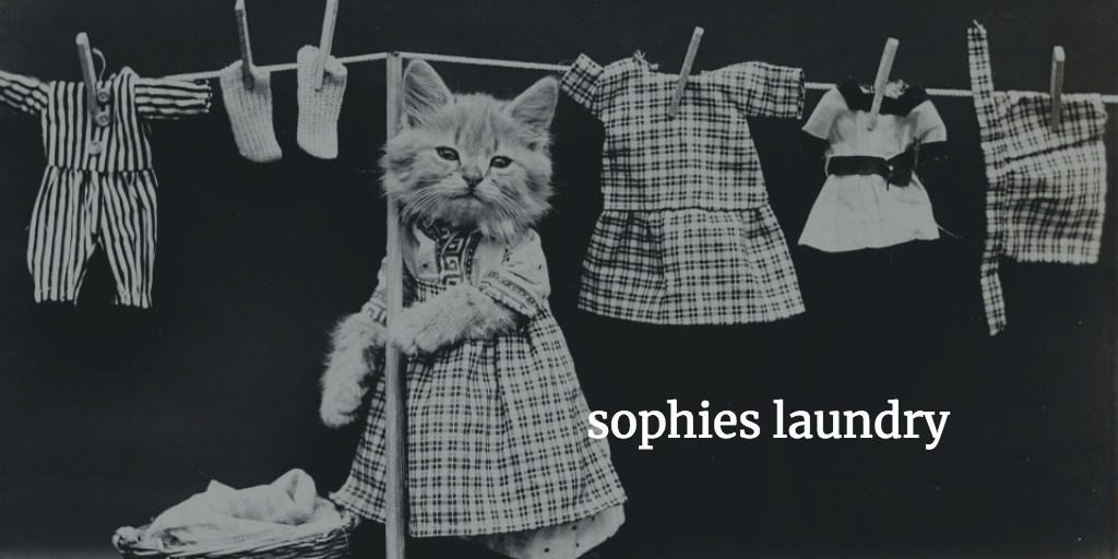 Sophies Laundry | 836 W 181st St, New York, NY 10033 | Phone: (212) 795-6170