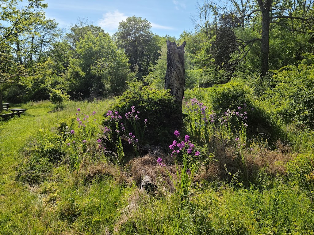 Peace Valley Nature Center | 170 N Chapman Rd, Doylestown, PA 18901 | Phone: (215) 348-6270