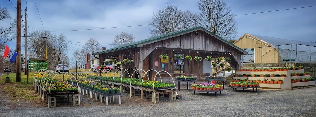 Daves Natural Garden | 35 Amherst St, Granby, MA 01033 | Phone: (413) 320-6802