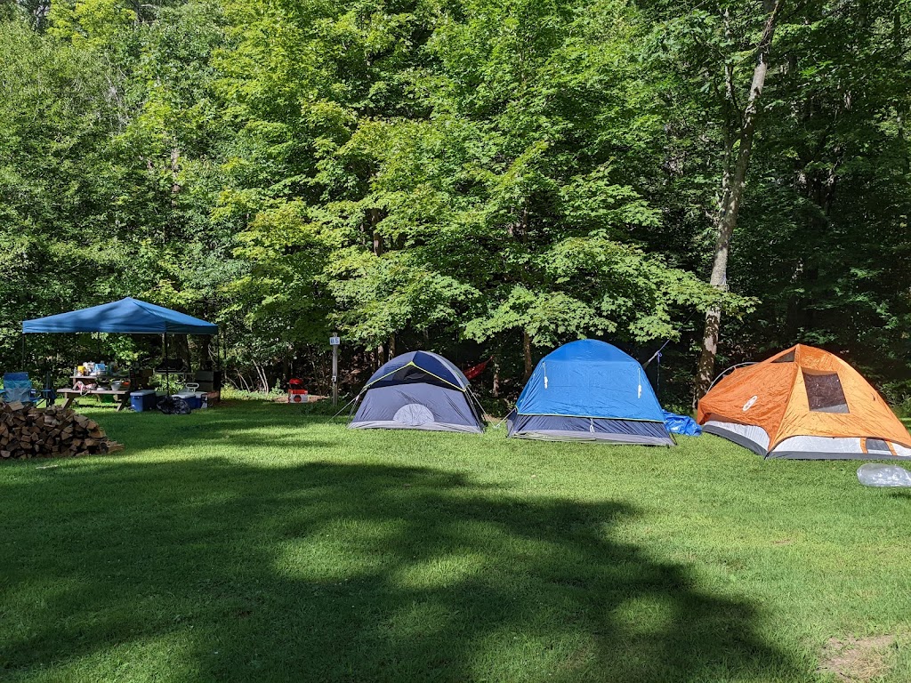 Neversink River Campgrounds | 192 Campground Rd, Woodbourne, NY 12788 | Phone: (845) 434-8926