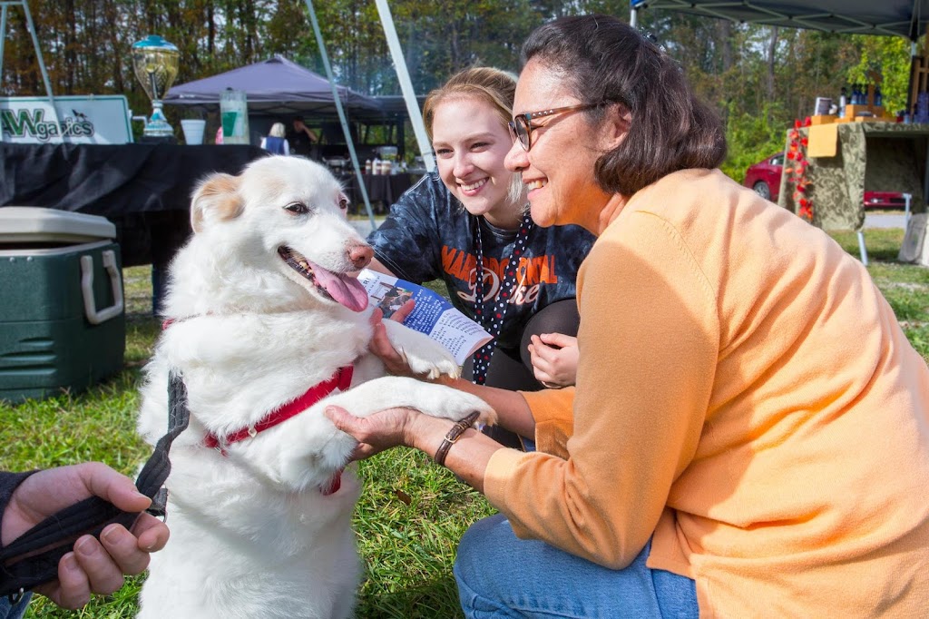 Earth Angels Veterinary Hospital | 44 St Nicholas Rd, Wappingers Falls, NY 12590 | Phone: (845) 227-7297