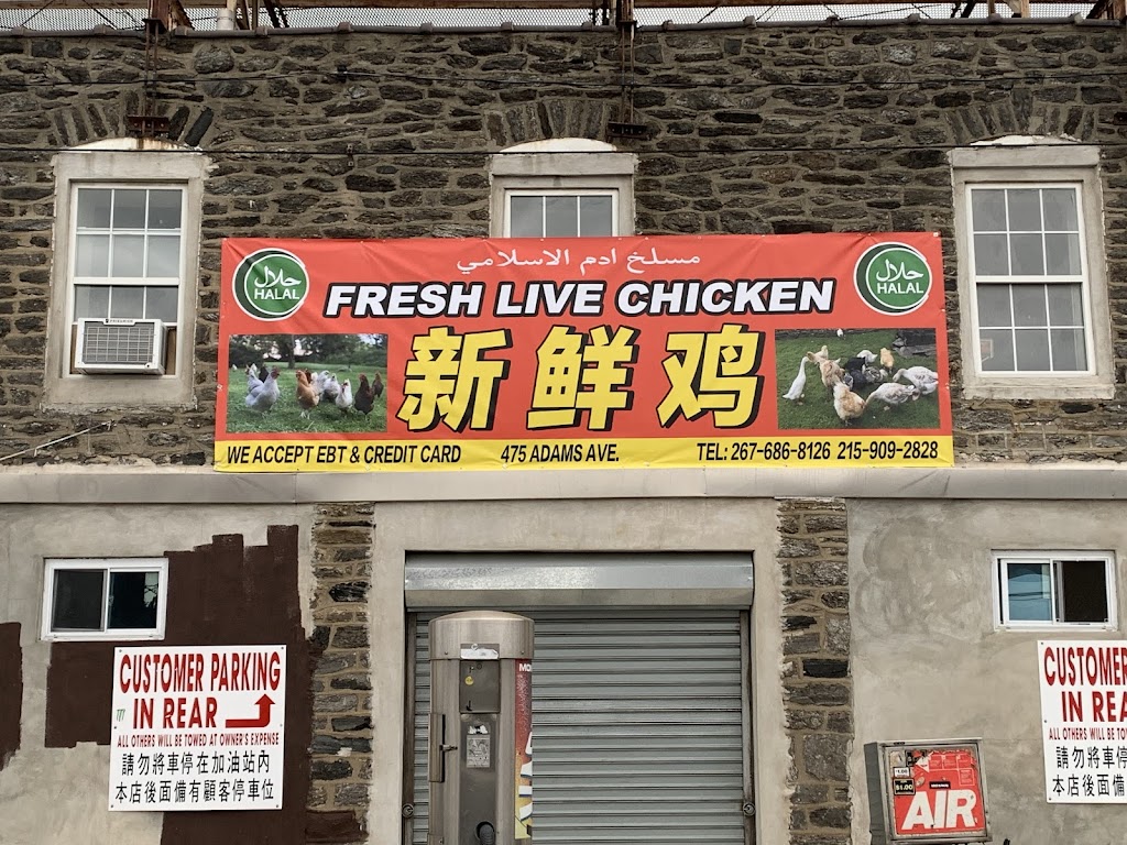 Adams Live ‏Poultry(halal) | 475 Adams Ave, Philadelphia, PA 19120 | Phone: (267) 686-8126