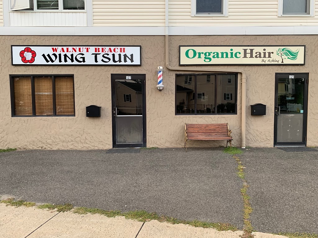 Organic Hair By Ashley | 127 Naugatuck Ave, Milford, CT 06460 | Phone: (203) 283-7355