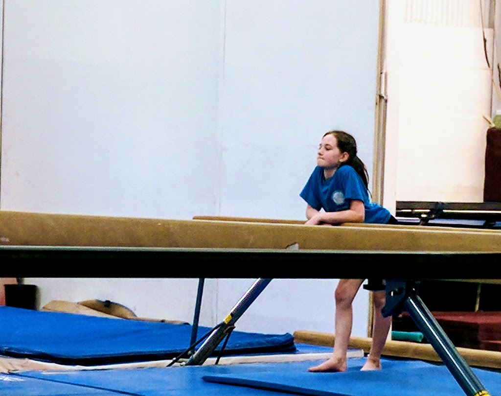 Farmington Valley Gymnastics & More, LLC | 5 Northwest Dr, Plainville, CT 06062 | Phone: (860) 793-1616