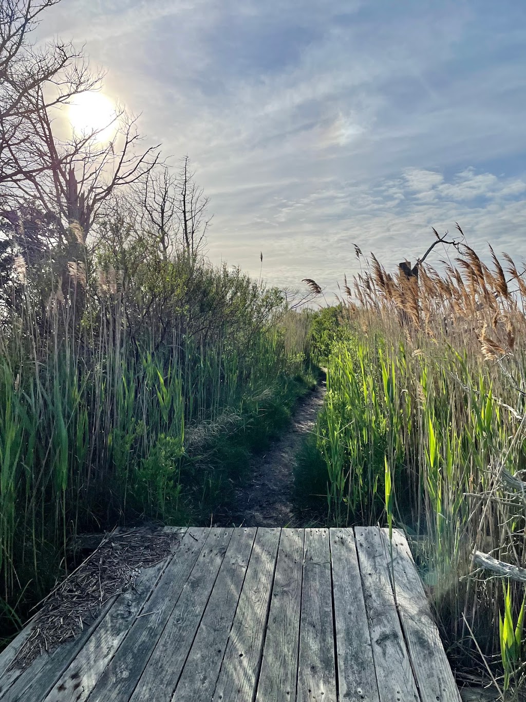 Spizzle Creek Bird Blind | Spizzle Creek Bird Blind Trail, Lanoka Harbor, NJ 08734 | Phone: (732) 830-1835