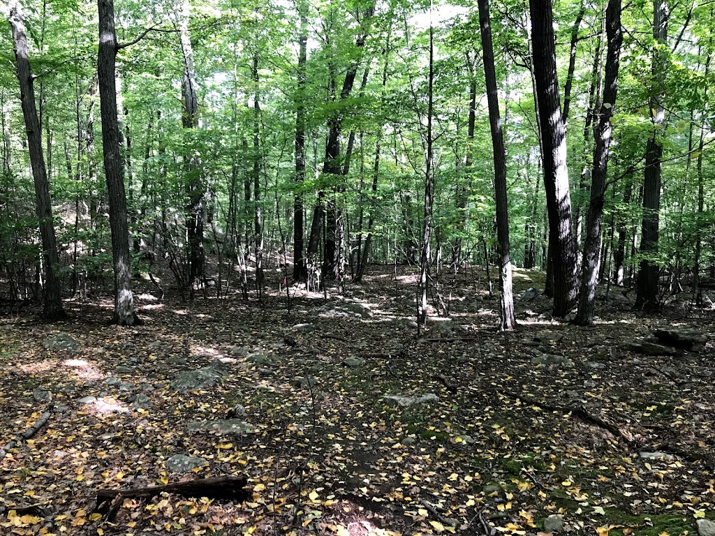 Ramapo Mountain State Forest (Upper Lot) | Hiking Trail Parking Lot, Oakland, NJ 07436 | Phone: (201) 512-9348