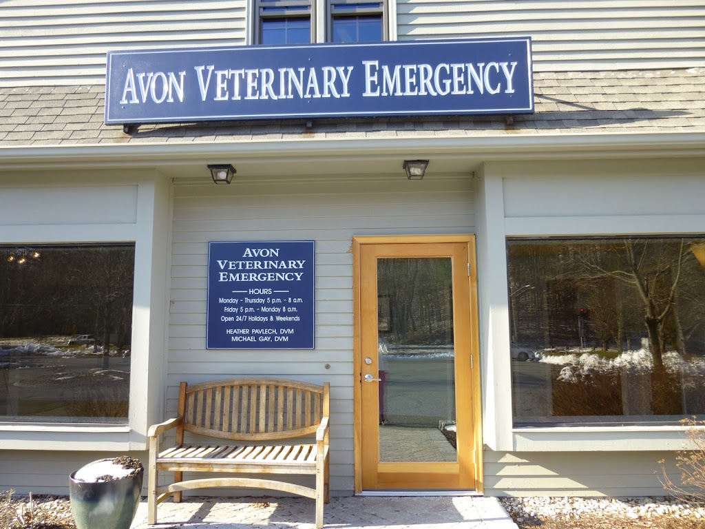 Avon Veterinary Emergency Referral | 9 Avonwood Rd #2072, Avon, CT 06001 | Phone: (860) 470-7456