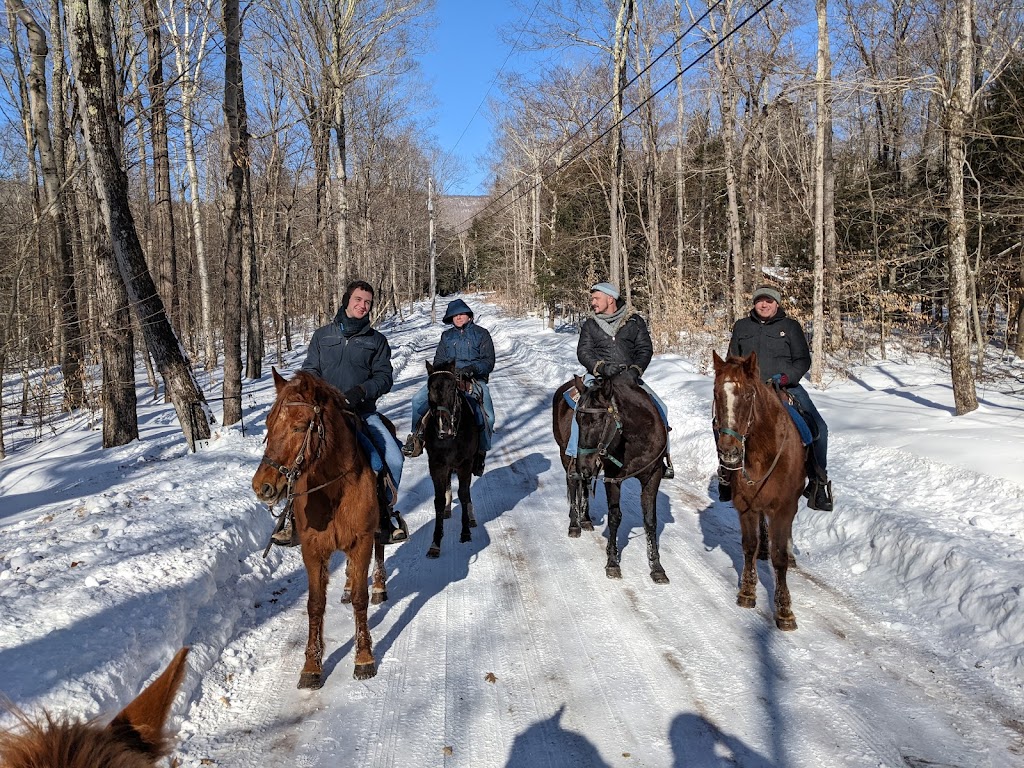 Rough Riders Ranch | 26 Chisolm Trail, East Jewett, NY 12424 | Phone: (518) 589-9159