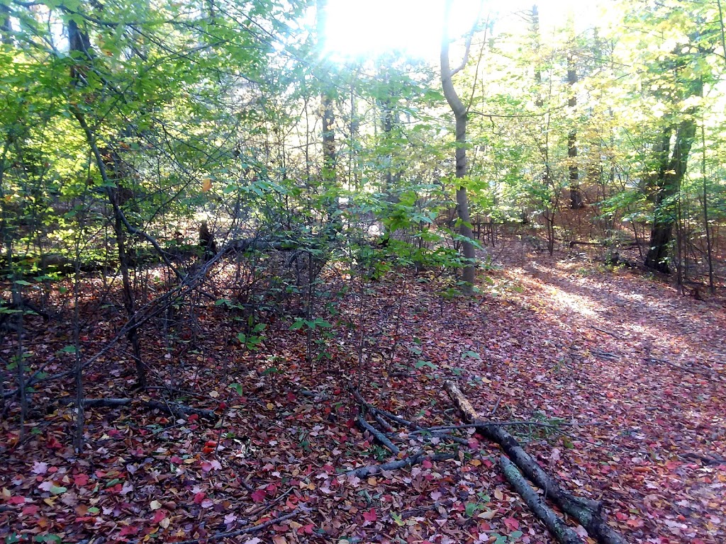 Esopus Bend Nature Preserve | 4 Shady Ln, Saugerties, NY 12477 | Phone: (845) 247-0664