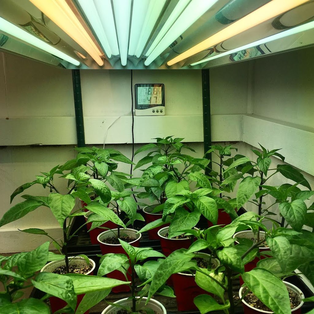 Green Dragon Hydroponics | 57 Crescent Blvd, Gloucester City, NJ 08030 | Phone: (856) 456-5000