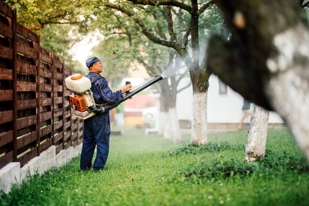 EcoGreen Pest Solutions | 1022 W Germantown Pike #1022B, Eagleville, PA 19403 | Phone: (610) 269-4884