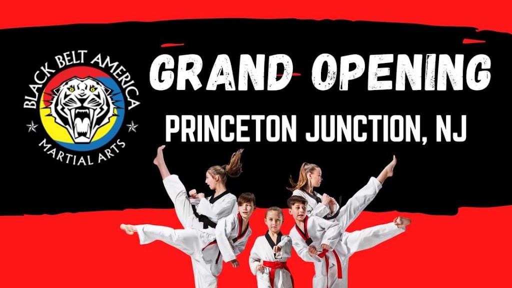 Black Belt America of Princeton Junction | 64 Princeton Hightstown Rd Suite 17, Princeton Junction, NJ 08550 | Phone: (609) 785-5437