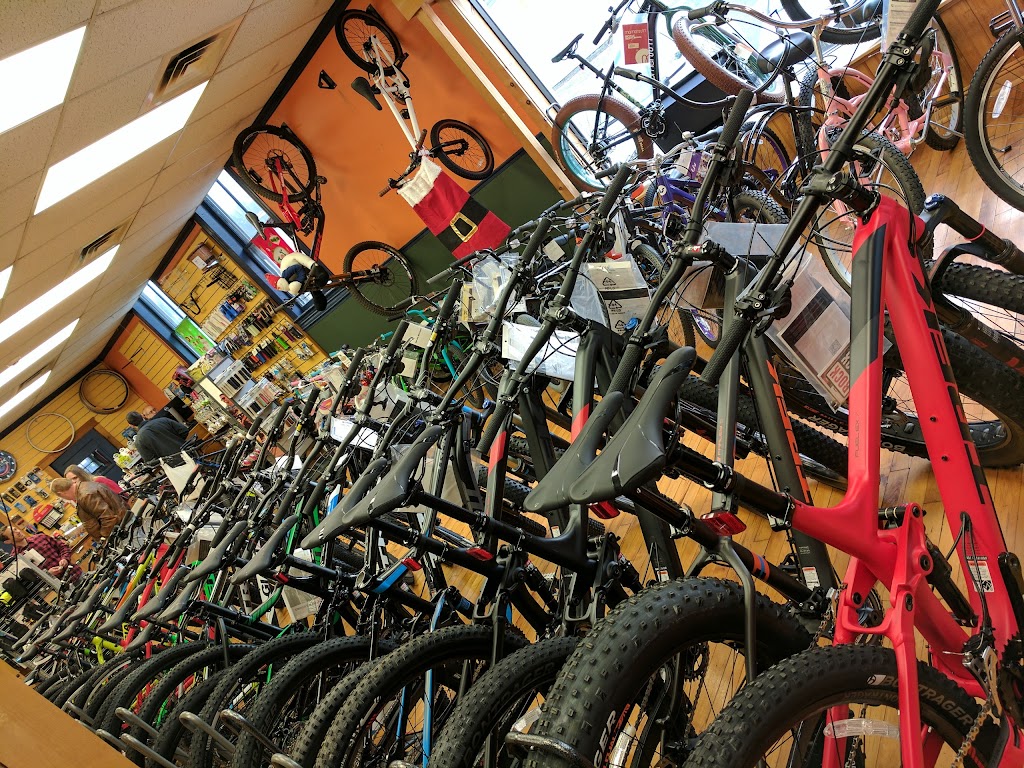 Town Cycle - Bike Sales, Parts, & Accessories | 1468 Union Valley Rd, West Milford, NJ 07480 | Phone: (973) 728-8878