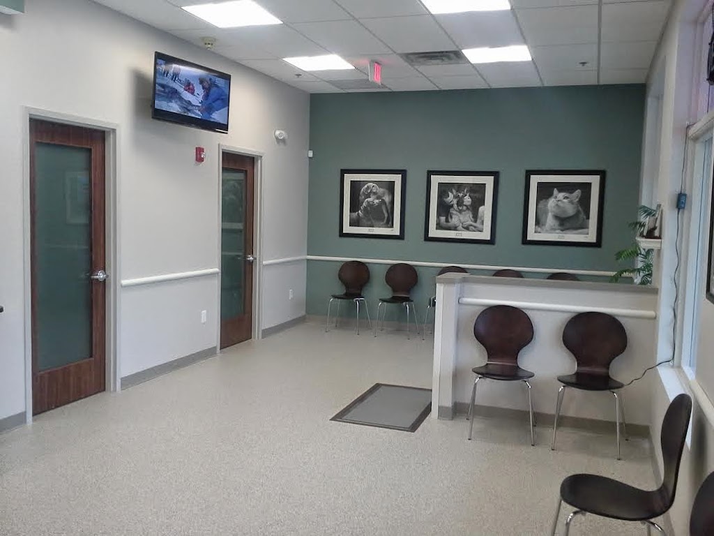 Central Veterinary Center | 4275 County Line Rd #24, Chalfont, PA 18914 | Phone: (215) 692-8954