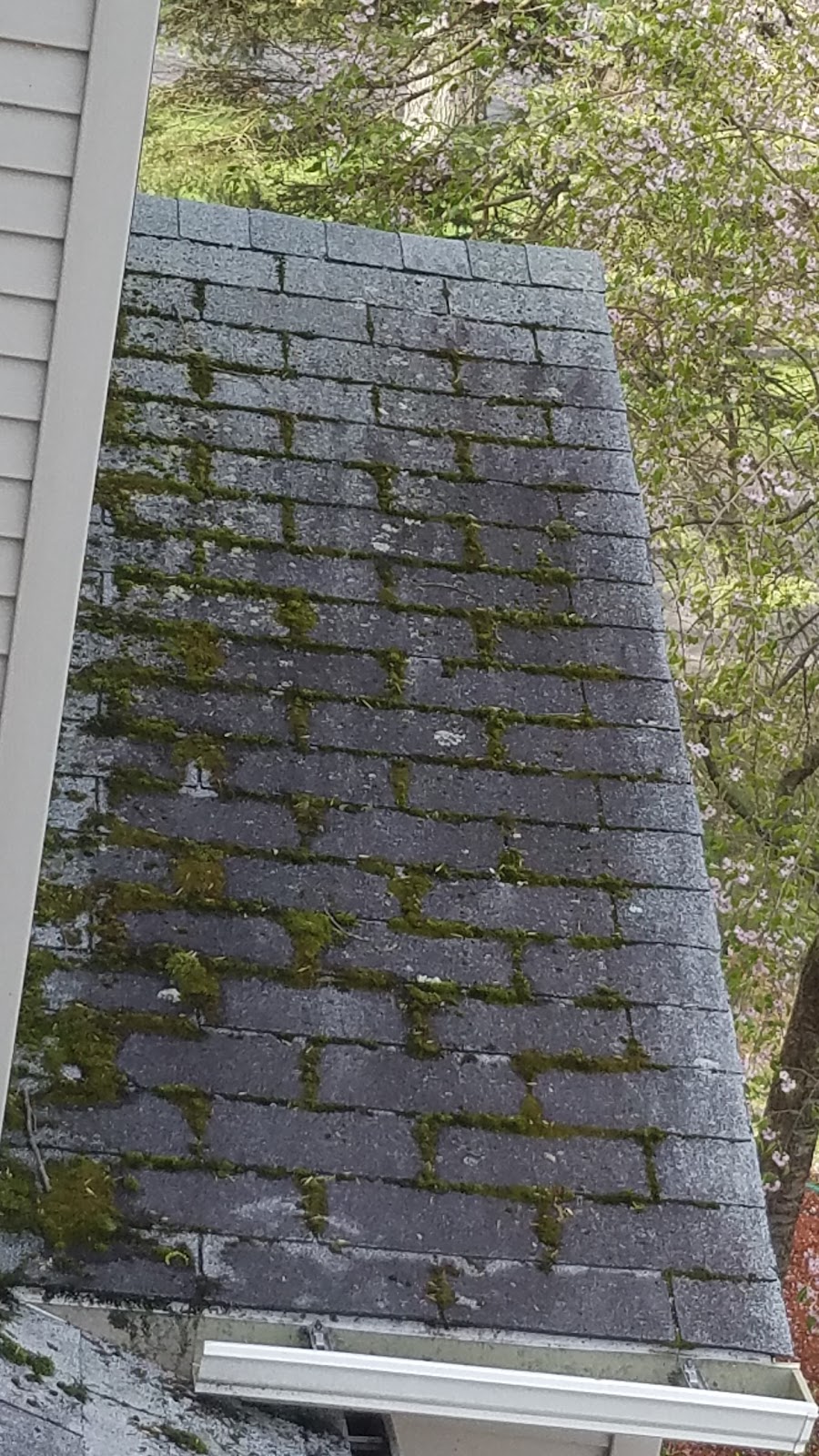 Superior Roof Cleaning | 25 Franklin St, Easthampton, MA 01027 | Phone: (413) 387-3361