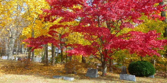 Fair Ridge Cemetery | 476 Quaker Rd, Chappaqua, NY 10514 | Phone: (914) 238-4507