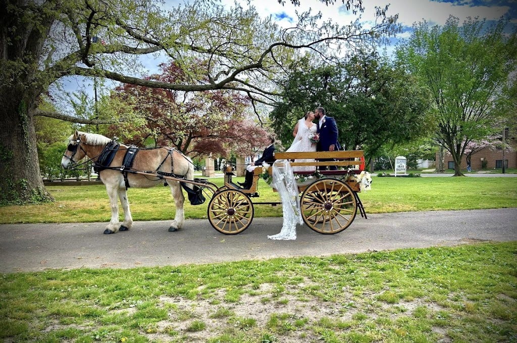 Carriage Rentals By Uptown | 125 Pemberton Rd, Southampton Township, NJ 08088 | Phone: (609) 859-0211