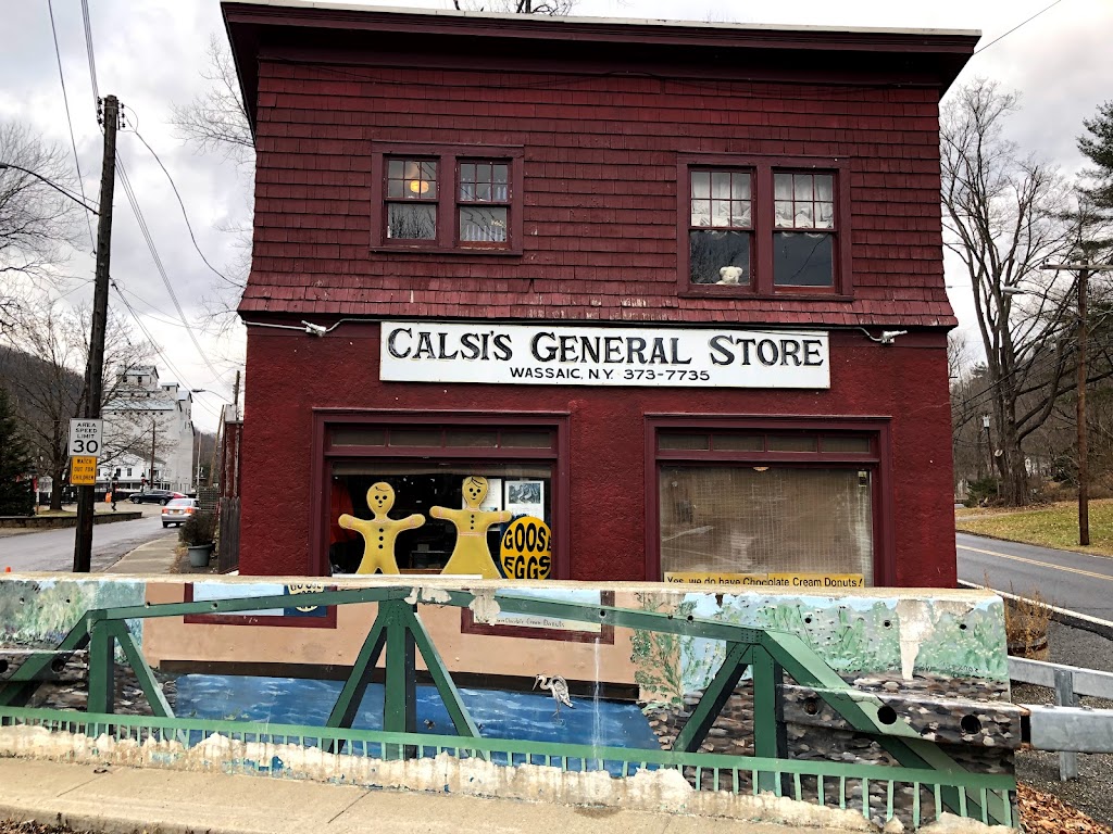 Calsis General Store | 4 Main St, Wassaic, NY 12592 | Phone: (845) 373-7735