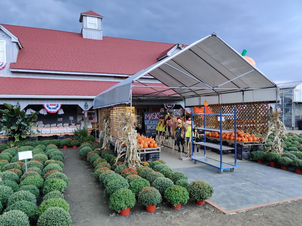 Dickinson Farm and Greenhouse | 309 E State St, Granby, MA 01033 | Phone: (413) 467-3794