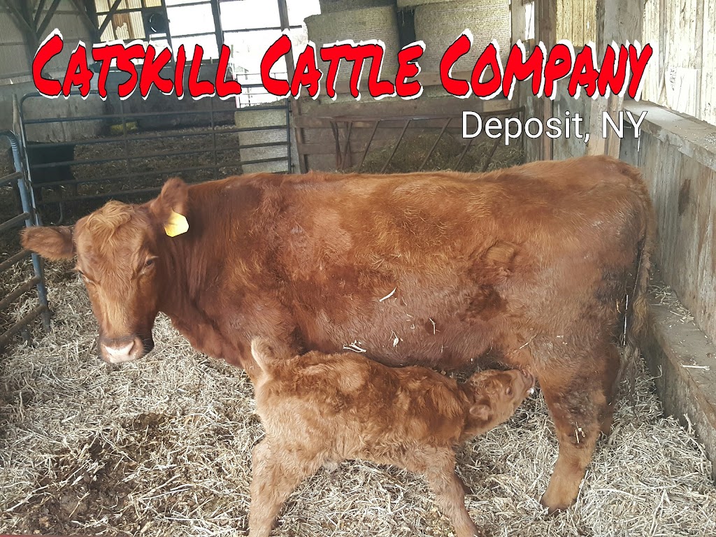 Catskill Cattle Company | 96 Laurel Bank Ave, Deposit, NY 13754 | Phone: (607) 467-5762