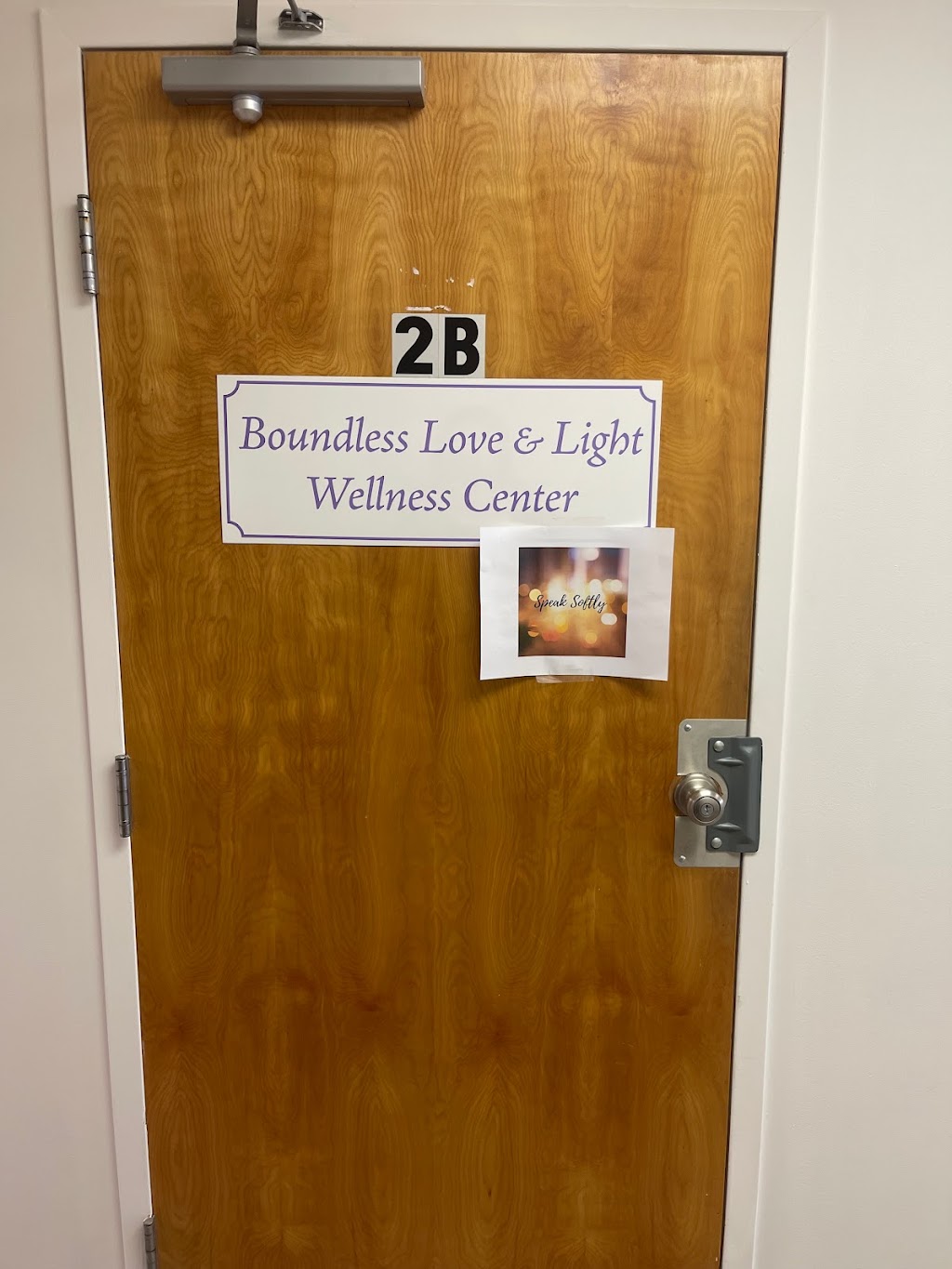 Boundless Love and Light Wellness Center | Mailbox #7, 170 Township Line Rd building b, Hillsborough Township, NJ 08844 | Phone: (908) 328-2112