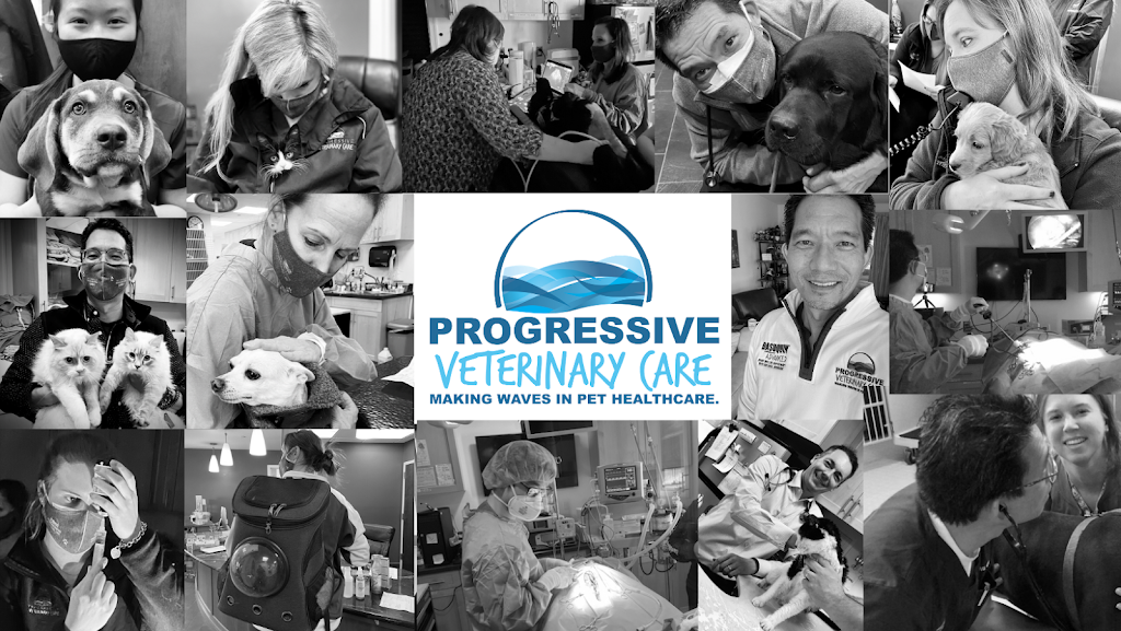Progressive Veterinary Care | 390 Georgetown Franklin Turnpike, Skillman, NJ 08558 | Phone: (609) 333-8686
