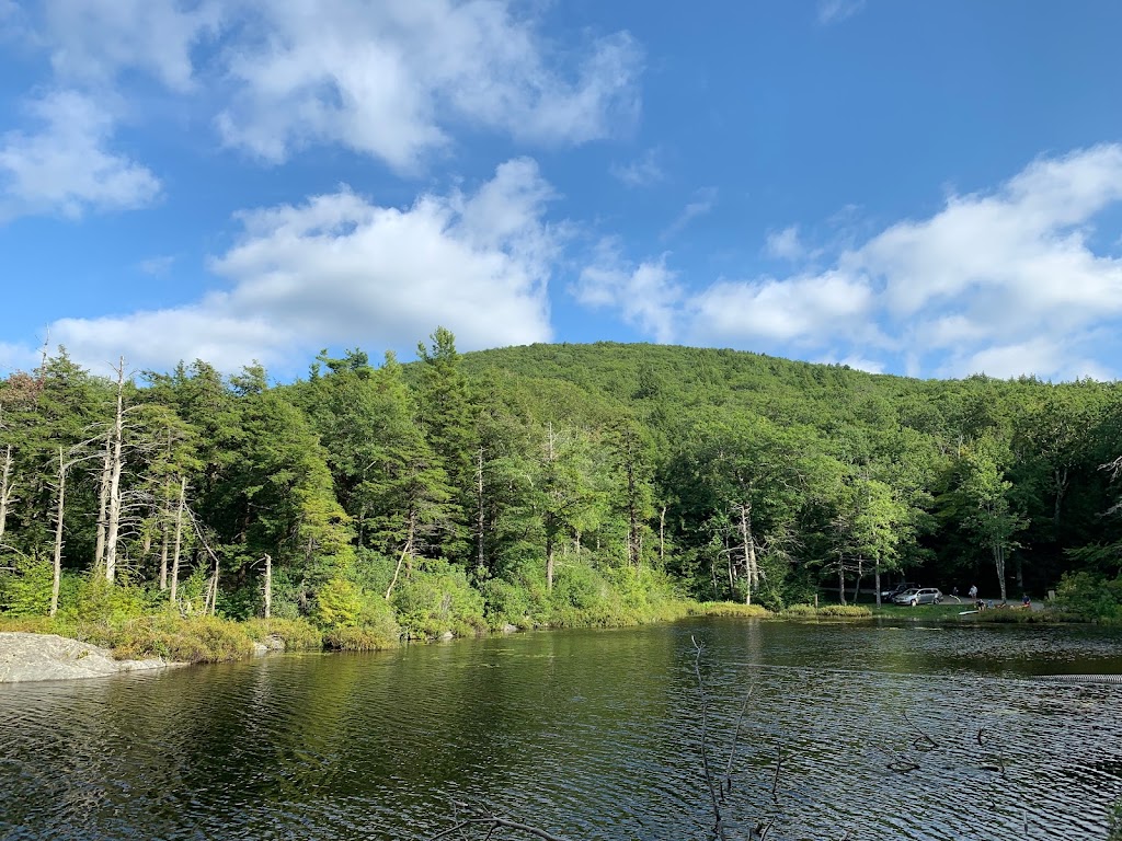 Guilder Pond Hiking Trail | Mt Washington, MA 01258 | Phone: (413) 528-0330