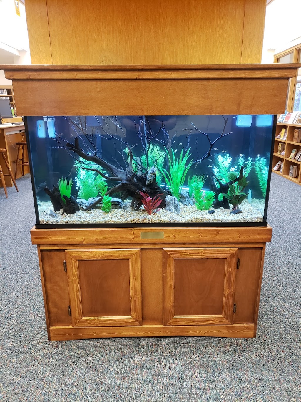 Exotic Aquatics | 398 E Washington Ave, Washington, NJ 07882 | Phone: (908) 223-1016