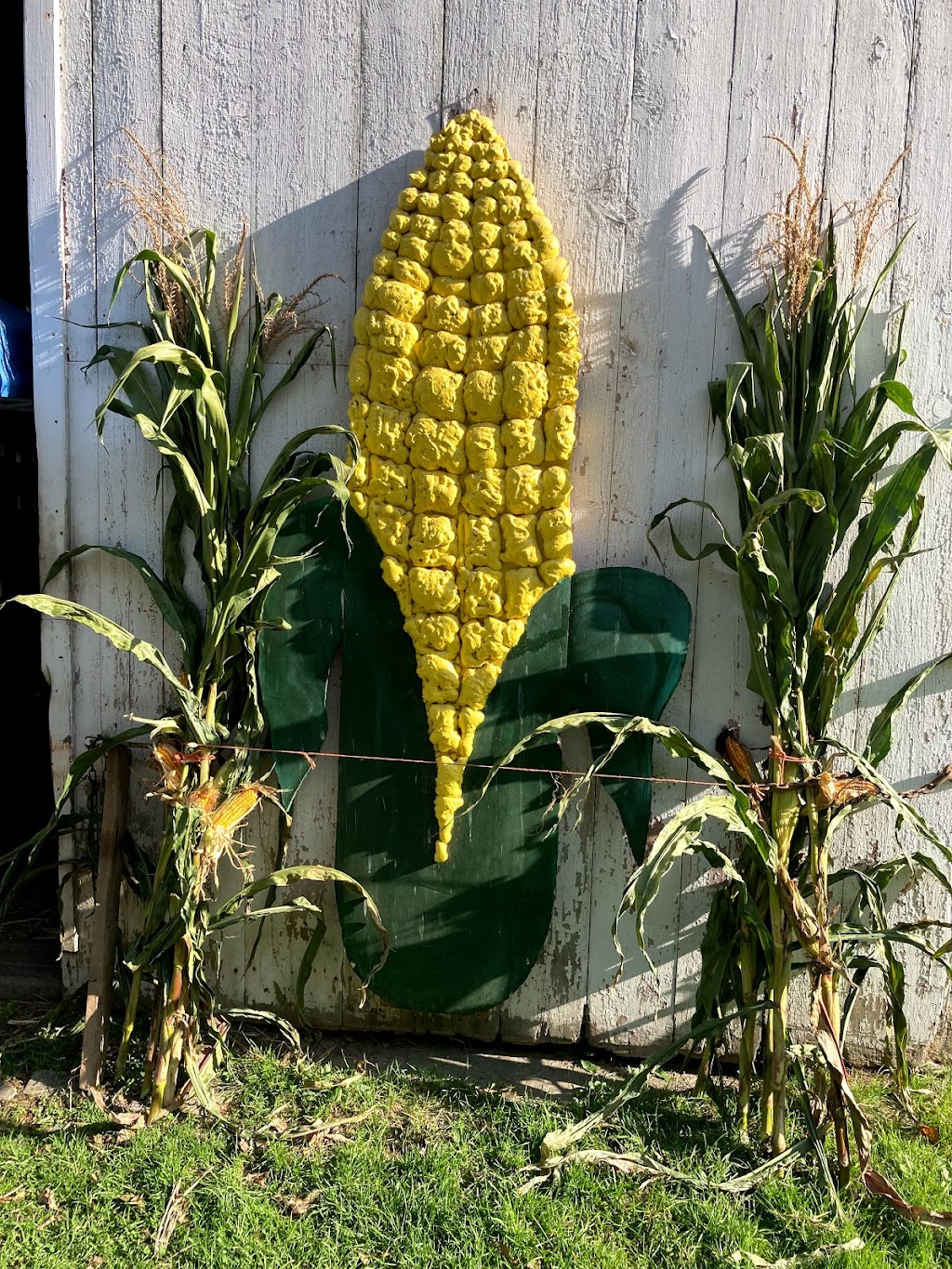 Pensyls Produce at Fellencer Farm | 6147 Cherry Valley Rd, Stroudsburg, PA 18360 | Phone: (570) 460-0473