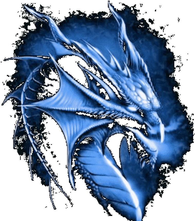 Blue Dragon Training | 26 High Point Cir, Franklin, NJ 07416 | Phone: (973) 634-0623