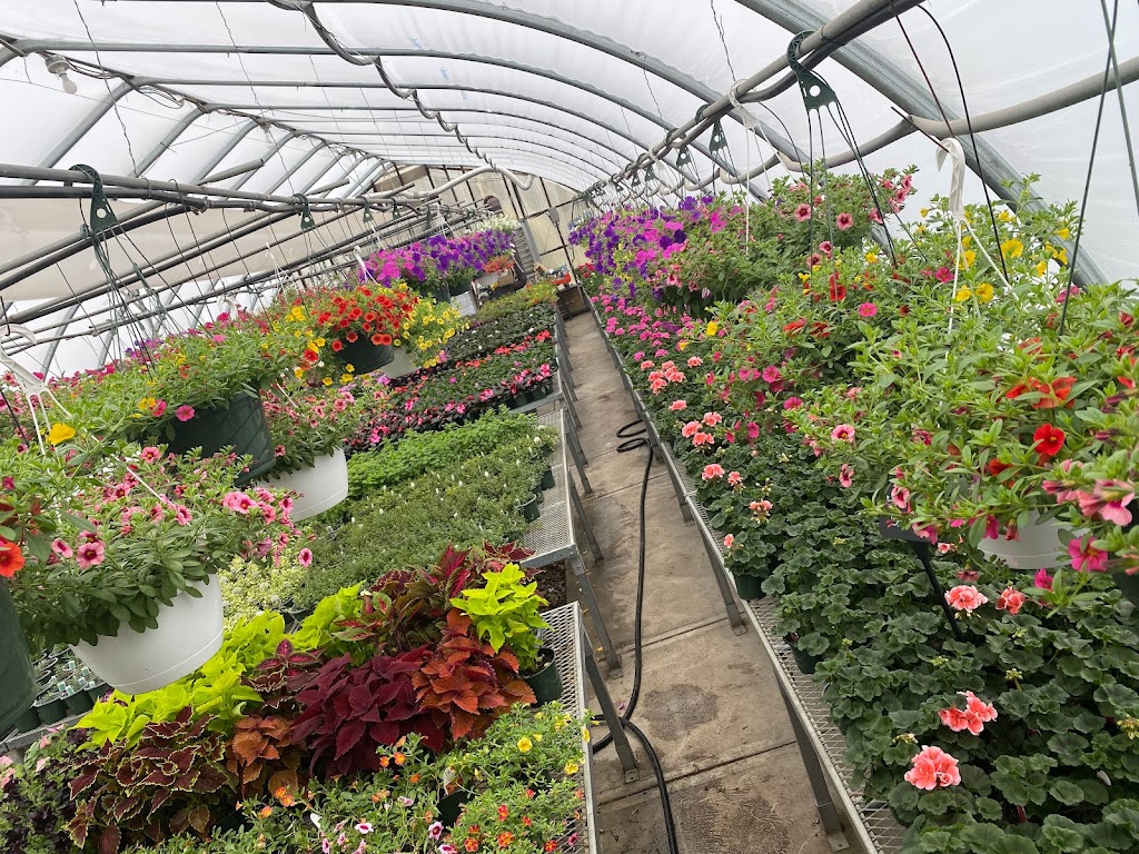 Thomas Greenhouse | 1586 Mt Bethel Hwy, Mt Bethel, PA 18343 | Phone: (484) 661-6553